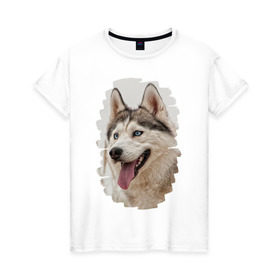 Женская футболка хлопок с принтом Симпотяга волк в Кировске, 100% хлопок | прямой крой, круглый вырез горловины, длина до линии бедер, слегка спущенное плечо | зверь | серый | хаски | хаски бандит