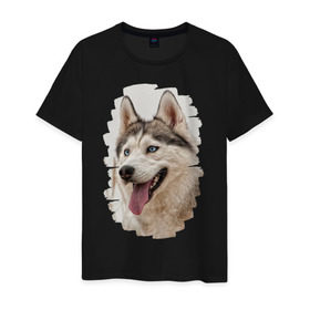 Мужская футболка хлопок с принтом Симпотяга волк в Кировске, 100% хлопок | прямой крой, круглый вырез горловины, длина до линии бедер, слегка спущенное плечо. | зверь | серый | хаски | хаски бандит