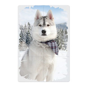 Магнитный плакат 2Х3 с принтом Волк в зимнем лесу в Кировске, Полимерный материал с магнитным слоем | 6 деталей размером 9*9 см | серый | хаски