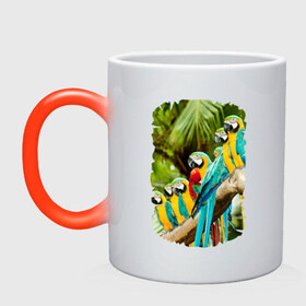 Кружка хамелеон с принтом Экзотические попугаи в Кировске, керамика | меняет цвет при нагревании, емкость 330 мл | джунгли | клюв | острова | перья | попугай | птица | тропики | экзотика