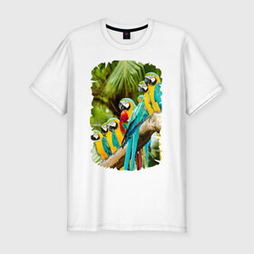 Мужская футболка премиум с принтом Экзотические попугаи в Кировске, 92% хлопок, 8% лайкра | приталенный силуэт, круглый вырез ворота, длина до линии бедра, короткий рукав | джунгли | клюв | острова | перья | попугай | птица | тропики | экзотика