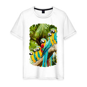 Мужская футболка хлопок с принтом Экзотические попугаи в Кировске, 100% хлопок | прямой крой, круглый вырез горловины, длина до линии бедер, слегка спущенное плечо. | джунгли | клюв | острова | перья | попугай | птица | тропики | экзотика