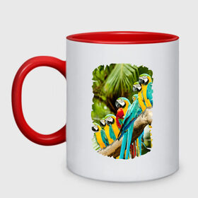Кружка двухцветная с принтом Экзотические попугаи в Кировске, керамика | объем — 330 мл, диаметр — 80 мм. Цветная ручка и кайма сверху, в некоторых цветах — вся внутренняя часть | Тематика изображения на принте: джунгли | клюв | острова | перья | попугай | птица | тропики | экзотика