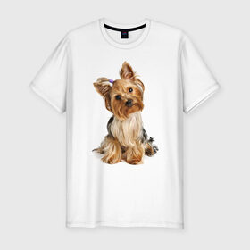Мужская футболка премиум с принтом Ухоженная собачка в Кировске, 92% хлопок, 8% лайкра | приталенный силуэт, круглый вырез ворота, длина до линии бедра, короткий рукав | 