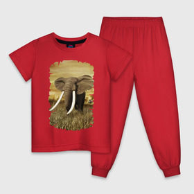 Детская пижама хлопок с принтом Могучий слон в Кировске, 100% хлопок |  брюки и футболка прямого кроя, без карманов, на брюках мягкая резинка на поясе и по низу штанин
 | Тематика изображения на принте: elephant | африка | бивни | джунгли | мамонт | савана | сафари | слон | хобот