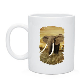 Кружка с принтом Могучий слон в Кировске, керамика | объем — 330 мл, диаметр — 80 мм. Принт наносится на бока кружки, можно сделать два разных изображения | elephant | африка | бивни | джунгли | мамонт | савана | сафари | слон | хобот