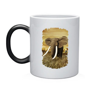 Кружка хамелеон с принтом Могучий слон в Кировске, керамика | меняет цвет при нагревании, емкость 330 мл | elephant | африка | бивни | джунгли | мамонт | савана | сафари | слон | хобот