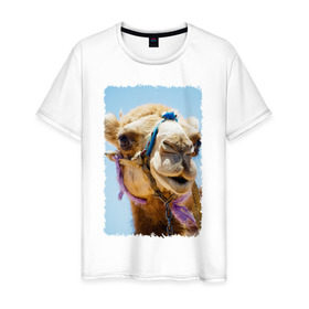 Мужская футболка хлопок с принтом Верблюд в Кировске, 100% хлопок | прямой крой, круглый вырез горловины, длина до линии бедер, слегка спущенное плечо. | верблюд | горб | животное | караван | песок | плевок | пустыня