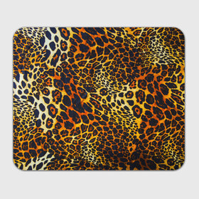 Коврик прямоугольный с принтом Леопард в Кировске, натуральный каучук | размер 230 х 185 мм; запечатка лицевой стороны | 3д | животные | кошка | леопард | новая | хищник