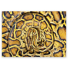 Поздравительная открытка с принтом Змея в Кировске, 100% бумага | плотность бумаги 280 г/м2, матовая, на обратной стороне линовка и место для марки
 | snake | анаконда | гадюка | змеиная | змея | кобра | кожа | кожура | удав | уж | червь | червяк | яд