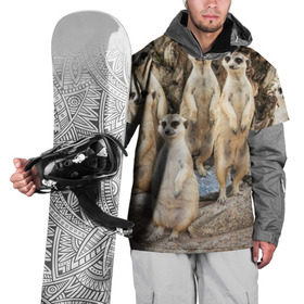 Накидка на куртку 3D с принтом Сурикаты в Кировске, 100% полиэстер |  | животное | зверёк | калахари | мангуст | млекопитающее | сурикат | южная африка