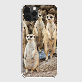 Чехол для iPhone 12 Pro Max с принтом Сурикаты в Кировске, Силикон |  | животное | зверёк | калахари | мангуст | млекопитающее | сурикат | южная африка