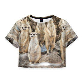Женская футболка 3D укороченная с принтом Сурикаты в Кировске, 100% полиэстер | круглая горловина, длина футболки до линии талии, рукава с отворотами | животное | зверёк | калахари | мангуст | млекопитающее | сурикат | южная африка