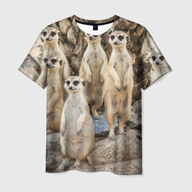 Мужская футболка 3D с принтом Сурикаты в Кировске, 100% полиэфир | прямой крой, круглый вырез горловины, длина до линии бедер | животное | зверёк | калахари | мангуст | млекопитающее | сурикат | южная африка