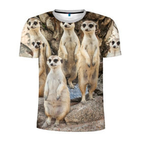 Мужская футболка 3D спортивная с принтом Сурикаты в Кировске, 100% полиэстер с улучшенными характеристиками | приталенный силуэт, круглая горловина, широкие плечи, сужается к линии бедра | животное | зверёк | калахари | мангуст | млекопитающее | сурикат | южная африка