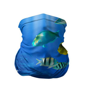 Бандана-труба 3D с принтом Дайвинг в Кировске, 100% полиэстер, ткань с особыми свойствами — Activecool | плотность 150‒180 г/м2; хорошо тянется, но сохраняет форму | дайвинг | египет | каникулы | коралловый риф | крабы | красное море | море | морские обитатели | океан | отдых | отпуск | подводные красоты | приключение | рыбки | рыбы | туризм