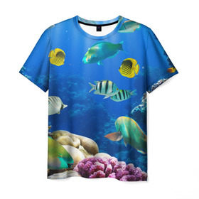 Мужская футболка 3D с принтом Дайвинг в Кировске, 100% полиэфир | прямой крой, круглый вырез горловины, длина до линии бедер | дайвинг | египет | каникулы | коралловый риф | крабы | красное море | море | морские обитатели | океан | отдых | отпуск | подводные красоты | приключение | рыбки | рыбы | туризм