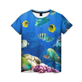 Женская футболка 3D с принтом Дайвинг в Кировске, 100% полиэфир ( синтетическое хлопкоподобное полотно) | прямой крой, круглый вырез горловины, длина до линии бедер | дайвинг | египет | каникулы | коралловый риф | крабы | красное море | море | морские обитатели | океан | отдых | отпуск | подводные красоты | приключение | рыбки | рыбы | туризм