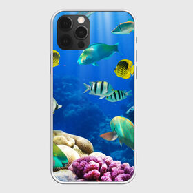 Чехол для iPhone 12 Pro Max с принтом Дайвинг в Кировске, Силикон |  | дайвинг | египет | каникулы | коралловый риф | крабы | красное море | море | морские обитатели | океан | отдых | отпуск | подводные красоты | приключение | рыбки | рыбы | туризм