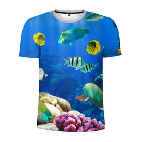 Мужская футболка 3D спортивная с принтом Дайвинг в Кировске, 100% полиэстер с улучшенными характеристиками | приталенный силуэт, круглая горловина, широкие плечи, сужается к линии бедра | Тематика изображения на принте: дайвинг | египет | каникулы | коралловый риф | крабы | красное море | море | морские обитатели | океан | отдых | отпуск | подводные красоты | приключение | рыбки | рыбы | туризм