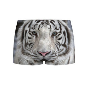 Мужские трусы 3D с принтом Бенгальский тигр в Кировске, 50% хлопок, 50% полиэстер | классическая посадка, на поясе мягкая тканевая резинка | Тематика изображения на принте: tiger | белый | дикая кошка | тигр | хищник