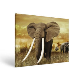 Холст прямоугольный с принтом Могучий слон в Кировске, 100% ПВХ |  | elephant | африка | бивни | джунгли | мамонт | савана | сафари | слон | хобот