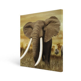 Холст квадратный с принтом Могучий слон в Кировске, 100% ПВХ |  | elephant | африка | бивни | джунгли | мамонт | савана | сафари | слон | хобот