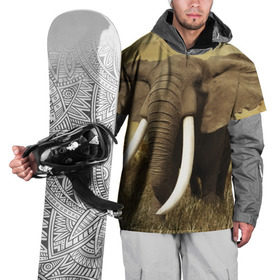 Накидка на куртку 3D с принтом Могучий слон в Кировске, 100% полиэстер |  | elephant | африка | бивни | джунгли | мамонт | савана | сафари | слон | хобот