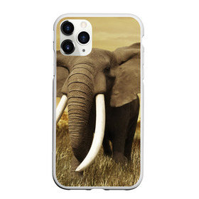 Чехол для iPhone 11 Pro матовый с принтом Могучий слон в Кировске, Силикон |  | elephant | африка | бивни | джунгли | мамонт | савана | сафари | слон | хобот