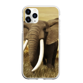 Чехол для iPhone 11 Pro Max матовый с принтом Могучий слон в Кировске, Силикон |  | elephant | африка | бивни | джунгли | мамонт | савана | сафари | слон | хобот