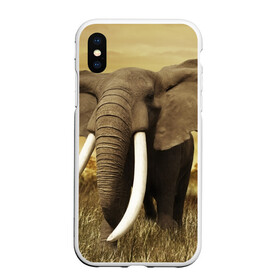 Чехол для iPhone XS Max матовый с принтом Могучий слон в Кировске, Силикон | Область печати: задняя сторона чехла, без боковых панелей | elephant | африка | бивни | джунгли | мамонт | савана | сафари | слон | хобот