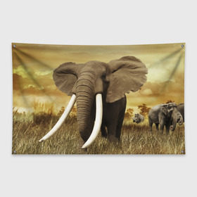Флаг-баннер с принтом Могучий слон в Кировске, 100% полиэстер | размер 67 х 109 см, плотность ткани — 95 г/м2; по краям флага есть четыре люверса для крепления | elephant | африка | бивни | джунгли | мамонт | савана | сафари | слон | хобот