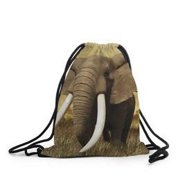Рюкзак-мешок 3D с принтом Могучий слон в Кировске, 100% полиэстер | плотность ткани — 200 г/м2, размер — 35 х 45 см; лямки — толстые шнурки, застежка на шнуровке, без карманов и подкладки | elephant | африка | бивни | джунгли | мамонт | савана | сафари | слон | хобот
