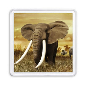 Магнит 55*55 с принтом Могучий слон в Кировске, Пластик | Размер: 65*65 мм; Размер печати: 55*55 мм | elephant | африка | бивни | джунгли | мамонт | савана | сафари | слон | хобот