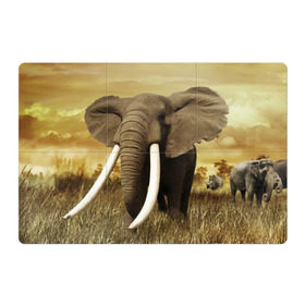 Магнитный плакат 3Х2 с принтом Могучий слон в Кировске, Полимерный материал с магнитным слоем | 6 деталей размером 9*9 см | elephant | африка | бивни | джунгли | мамонт | савана | сафари | слон | хобот