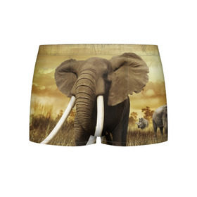 Мужские трусы 3D с принтом Могучий слон в Кировске, 50% хлопок, 50% полиэстер | классическая посадка, на поясе мягкая тканевая резинка | Тематика изображения на принте: elephant | африка | бивни | джунгли | мамонт | савана | сафари | слон | хобот