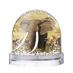 Водяной шар с принтом Могучий слон в Кировске, Пластик | Изображение внутри шара печатается на глянцевой фотобумаге с двух сторон | elephant | африка | бивни | джунгли | мамонт | савана | сафари | слон | хобот