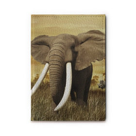 Обложка для автодокументов с принтом Могучий слон в Кировске, натуральная кожа |  размер 19,9*13 см; внутри 4 больших “конверта” для документов и один маленький отдел — туда идеально встанут права | elephant | африка | бивни | джунгли | мамонт | савана | сафари | слон | хобот