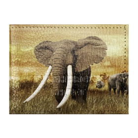 Обложка для студенческого билета с принтом Могучий слон в Кировске, натуральная кожа | Размер: 11*8 см; Печать на всей внешней стороне | elephant | африка | бивни | джунгли | мамонт | савана | сафари | слон | хобот