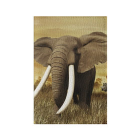 Обложка для паспорта матовая кожа с принтом Могучий слон в Кировске, натуральная матовая кожа | размер 19,3 х 13,7 см; прозрачные пластиковые крепления | elephant | африка | бивни | джунгли | мамонт | савана | сафари | слон | хобот