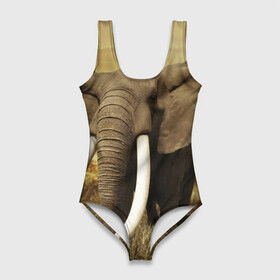 Купальник-боди 3D с принтом Могучий слон в Кировске, 82% полиэстер, 18% эластан | Круглая горловина, круглый вырез на спине | elephant | африка | бивни | джунгли | мамонт | савана | сафари | слон | хобот