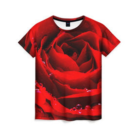 Женская футболка 3D с принтом Роза в Кировске, 100% полиэфир ( синтетическое хлопкоподобное полотно) | прямой крой, круглый вырез горловины, длина до линии бедер | Тематика изображения на принте: роза | розовая | розы | романтика | цветы