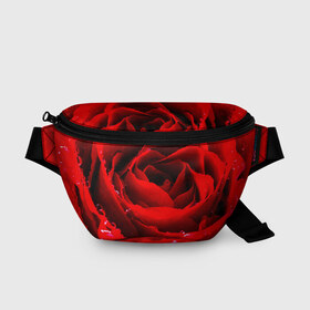 Поясная сумка 3D с принтом Роза в Кировске, 100% полиэстер | плотная ткань, ремень с регулируемой длиной, внутри несколько карманов для мелочей, основное отделение и карман с обратной стороны сумки застегиваются на молнию | роза | розовая | розы | романтика | цветы