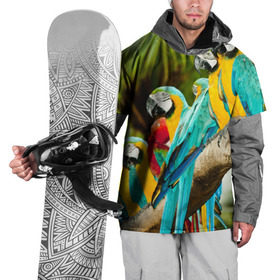 Накидка на куртку 3D с принтом Попугаи на ветке в Кировске, 100% полиэстер |  | джунгли | клюв | острова | перья | попугай | птица | тропики | экзотика