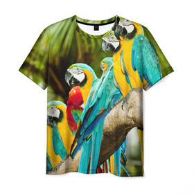 Мужская футболка 3D с принтом Попугаи на ветке в Кировске, 100% полиэфир | прямой крой, круглый вырез горловины, длина до линии бедер | джунгли | клюв | острова | перья | попугай | птица | тропики | экзотика