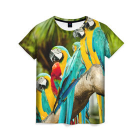 Женская футболка 3D с принтом Попугаи на ветке в Кировске, 100% полиэфир ( синтетическое хлопкоподобное полотно) | прямой крой, круглый вырез горловины, длина до линии бедер | джунгли | клюв | острова | перья | попугай | птица | тропики | экзотика