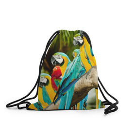 Рюкзак-мешок 3D с принтом Попугаи на ветке в Кировске, 100% полиэстер | плотность ткани — 200 г/м2, размер — 35 х 45 см; лямки — толстые шнурки, застежка на шнуровке, без карманов и подкладки | джунгли | клюв | острова | перья | попугай | птица | тропики | экзотика