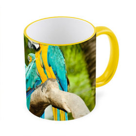 Кружка 3D с принтом Попугаи на ветке в Кировске, керамика | ёмкость 330 мл | Тематика изображения на принте: джунгли | клюв | острова | перья | попугай | птица | тропики | экзотика