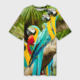 Платье-футболка 3D с принтом Попугаи на ветке в Кировске,  |  | джунгли | клюв | острова | перья | попугай | птица | тропики | экзотика