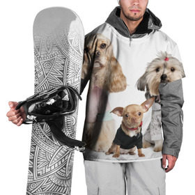 Накидка на куртку 3D с принтом Дивные собачки в Кировске, 100% полиэстер |  | Тематика изображения на принте: весёлый | животное | зверёк | игривый | классный | красивый | лучший друг человека | любимец | милый | охрана | пёс | питомец | прикольный | смешной | собака | собачонка | ум | щенок | щеночек
